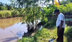 IMG-20220521-WA0012_copy_656x435