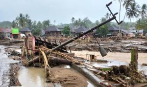 IMG-20230320-WA0012_copy_591x392